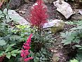 redsentinel