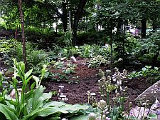 planting