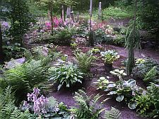 plantingfinal