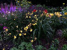 drivegarden
