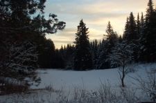 incomingstorm
