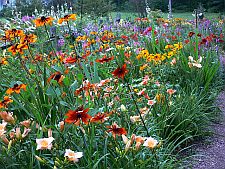 gardenfence