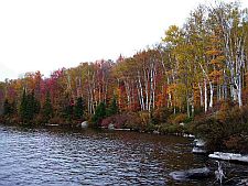 kettlepond