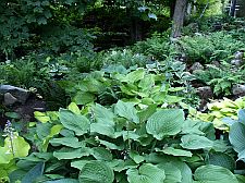 lowergarden