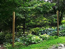 deerfence