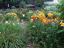 peachampondroadgardens