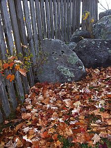fenceatpeacham