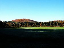 horsefarm