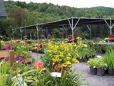 towardsshadehouses