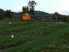 vermontflowerfarmbuilding