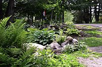 vermontwalkway3.1